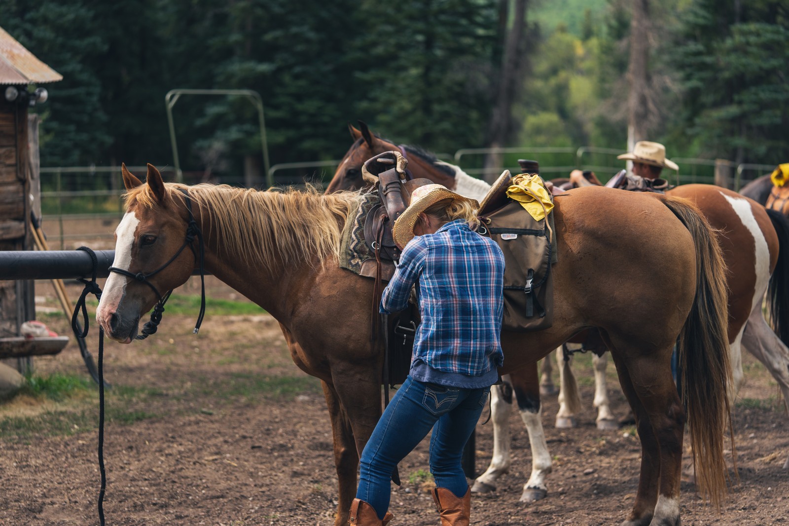 Avalanche Outfitters, Horseback Riding, Colorado
